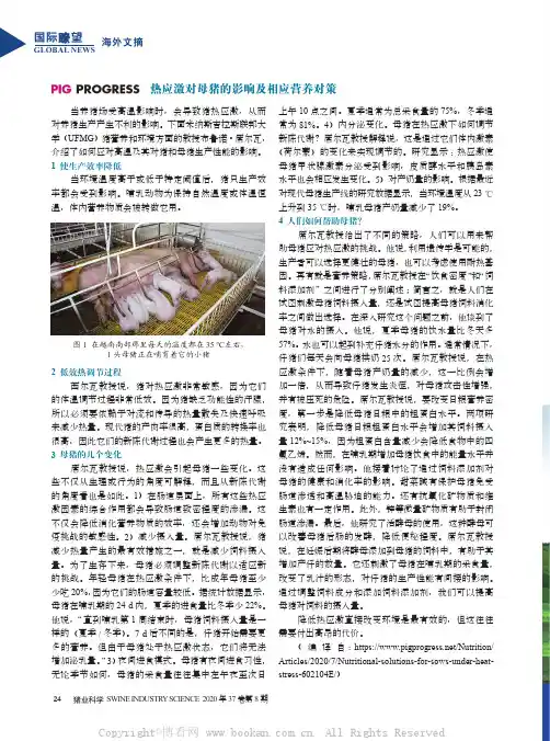 热应激对母猪的影响及相应营养对策