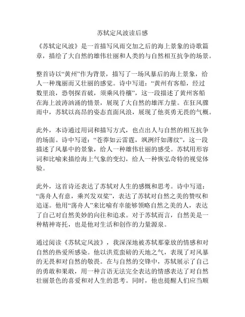 苏轼定风波读后感