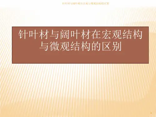 针叶材与阔叶材在宏观与微观结构的区别ppt课件