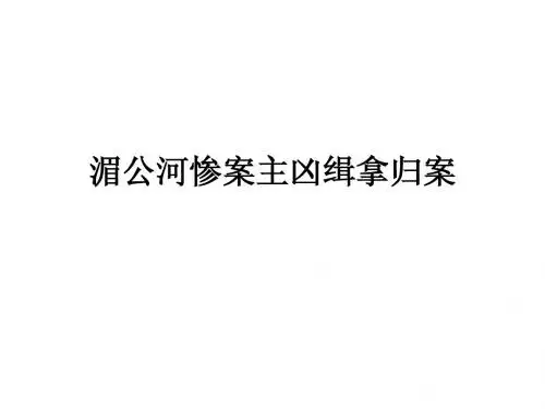 湄公河惨案主凶缉拿归案