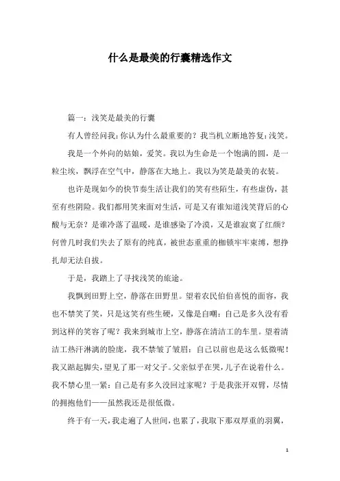 什么是最美的行囊精选作文