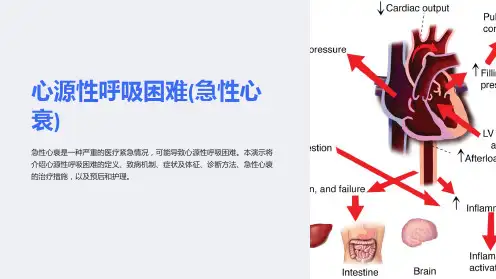 心源性呼吸困难(急性心衰)