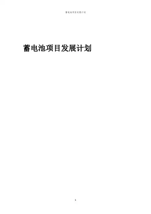 2024年蓄电池项目发展计划