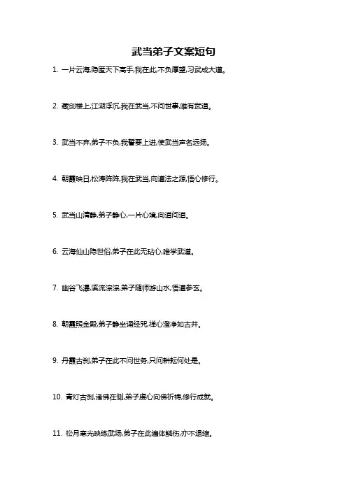 武当弟子文案短句