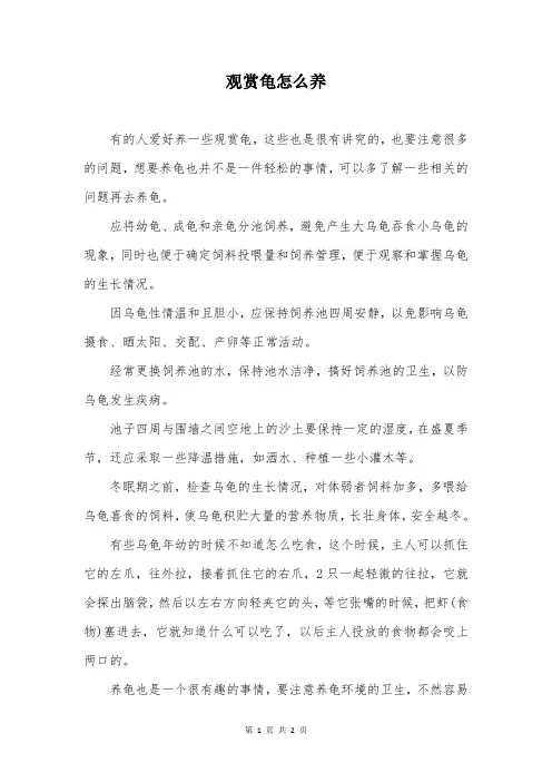 观赏龟怎么养