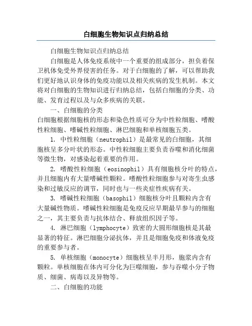 白细胞生物知识点归纳总结