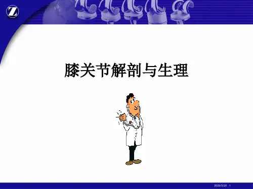 (医学课件)膝关节解剖和生物力学