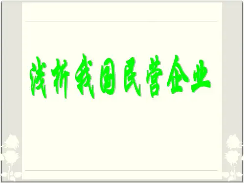 民营企业产权制度