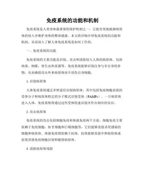 免疫系统的功能和机制
