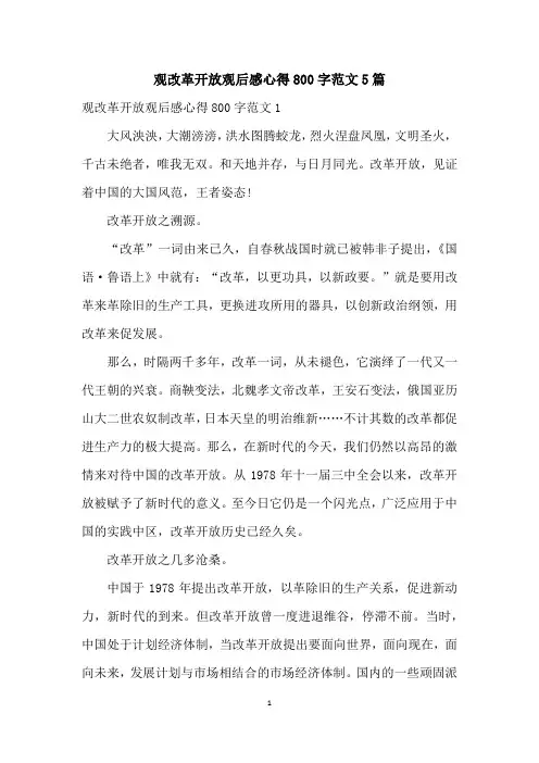 观改革开放观后感心得800字范文5篇