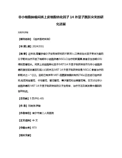 非小细胞肺癌间质上皮细胞转化因子14外显子跳跃突变的研究进展