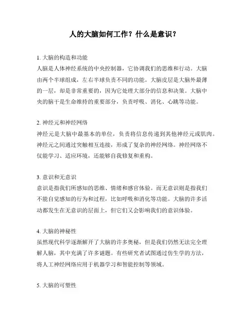 人的大脑如何工作？什么是意识？