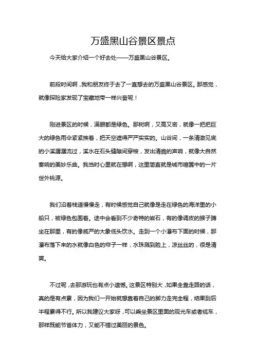 万盛黑山谷景区景点