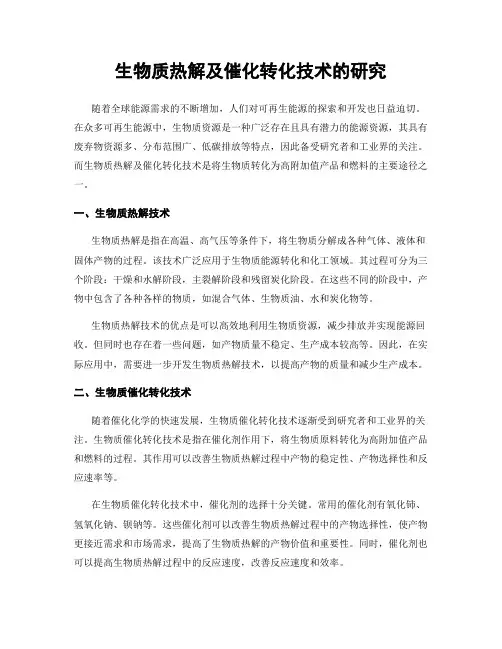 生物质热解及催化转化技术的研究