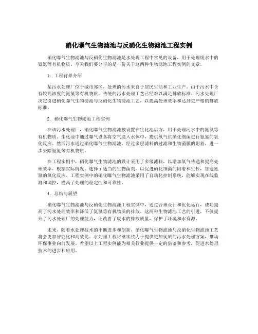 硝化曝气生物滤池与反硝化生物滤池工程实例