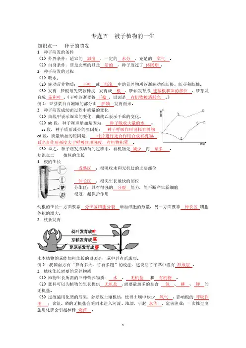 专题五  被子植物的一生(有答案版)
