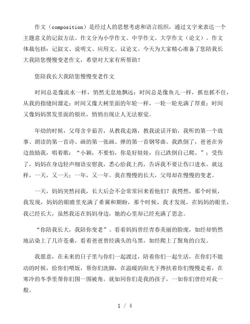 您陪我长大我陪您慢慢变老作文