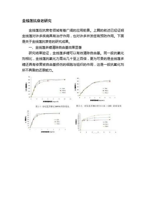 金线莲抗衰老研究