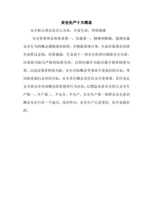 安全生产十大理念.doc