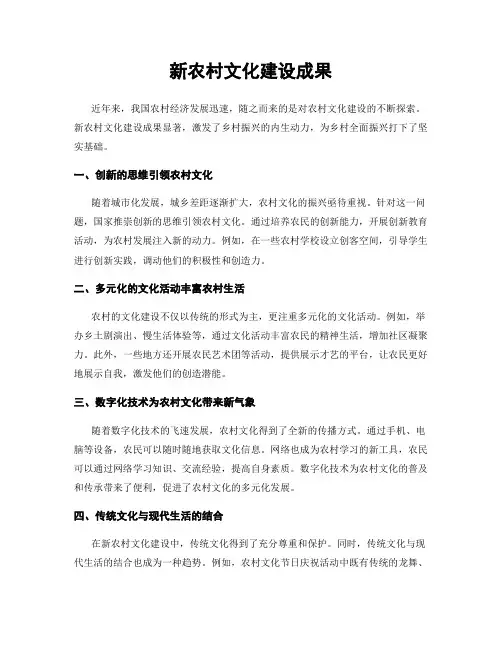 新农村文化建设成果