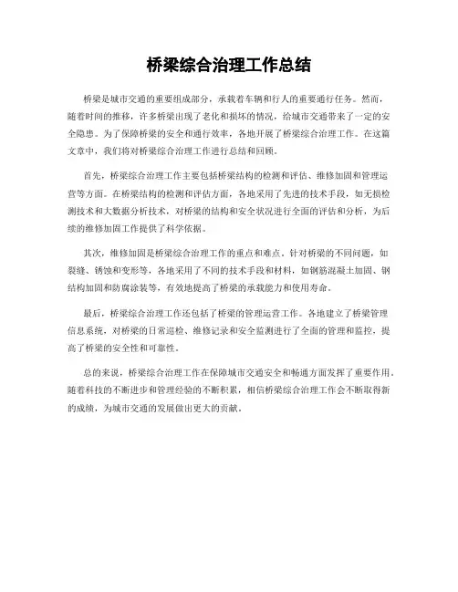 桥梁综合治理工作总结