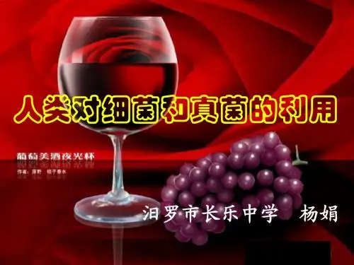 人类对细菌和真菌的利用(说课)