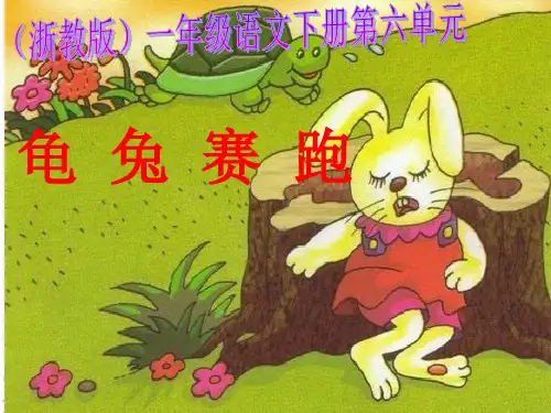 浙教版一年级语文下册《龟兔赛跑 1》PPT课件