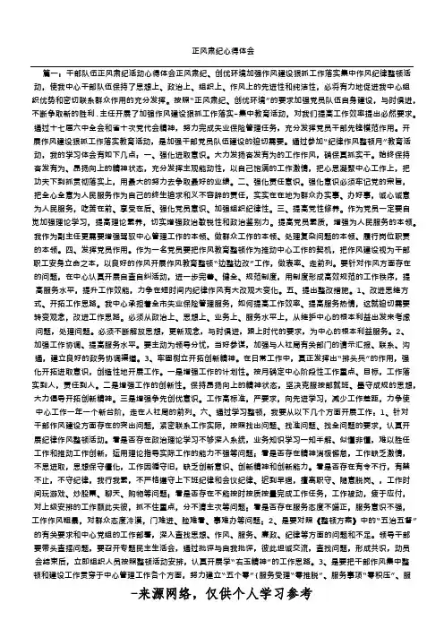 正风肃纪心得体会