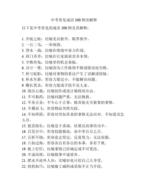 中考常见成语300例及解释
