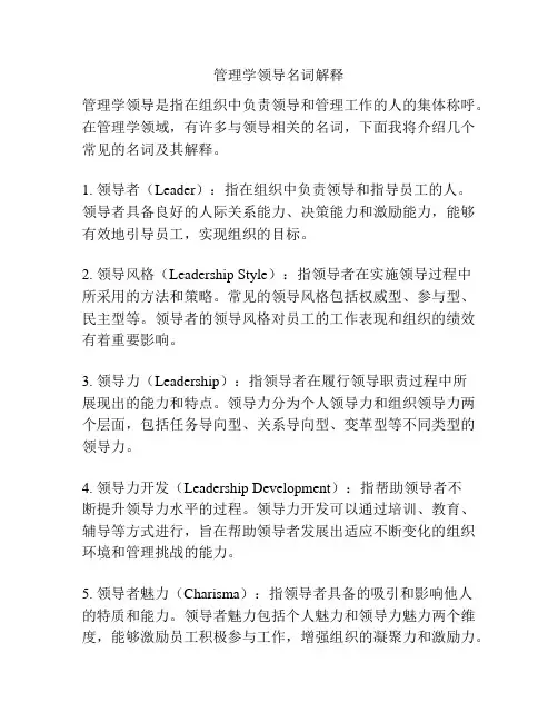 管理学领导名词解释