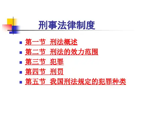 刑法精选全文