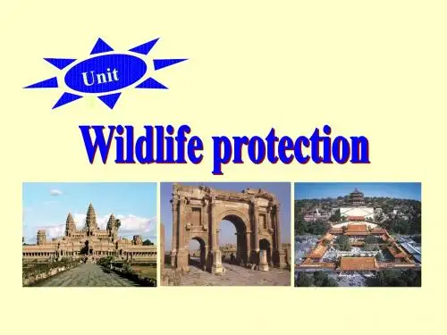 必修2unit4.ppt