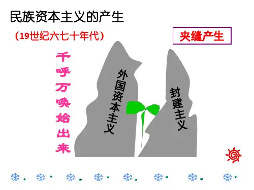 人教版高一历史必修二课件：第10课 中国民族资本主义的曲折发展 (共29张PPT)