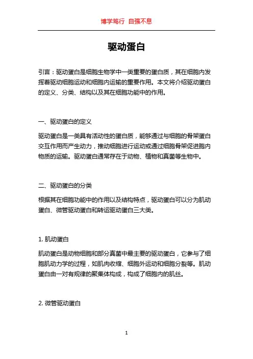 驱动蛋白_精品文档