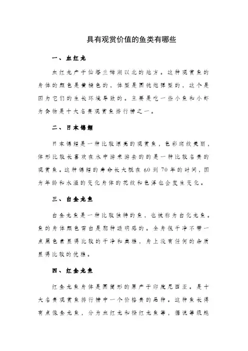 观赏鱼 具有观赏价值的鱼类