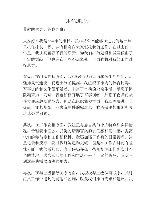 排长述职报告