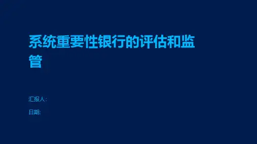 系统重要性银行的评估和监管