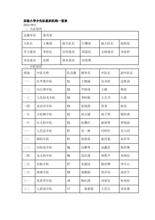 实验小学少先队组织机构一览表