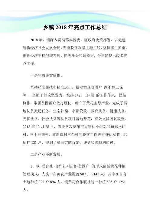 乡镇2018年亮点工作总结.doc