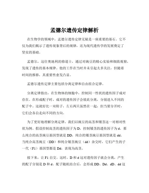 孟德尔遗传定律解析