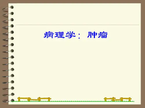 病理学：肿瘤