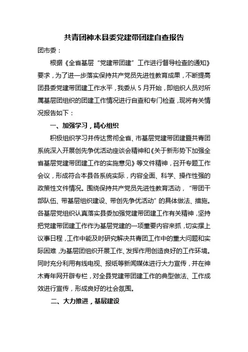 xx党建带团建自查报告