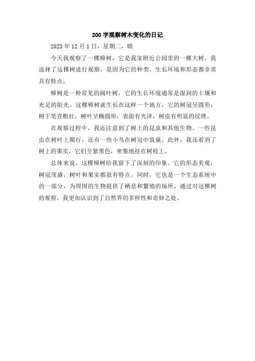 200字观察树木变化的日记