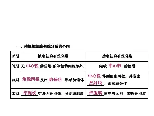 动植物细胞有丝分裂的区别和相关曲线 观察根尖分生组织细胞的有丝分裂课件