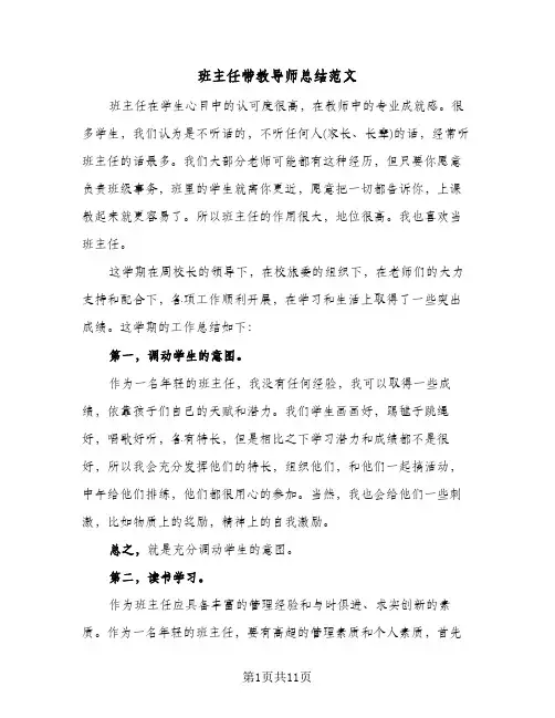 班主任带教导师总结范文（4篇）