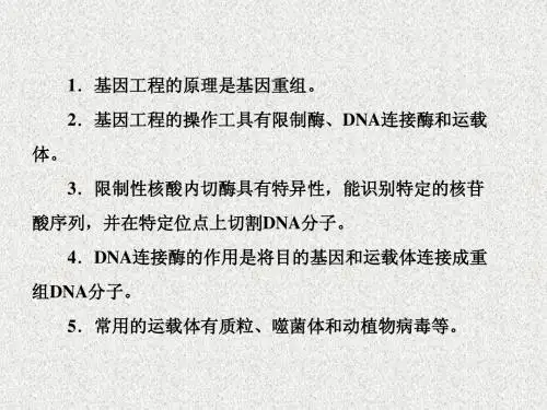 高中生物必修2课件：6-2 基因工程及其应用