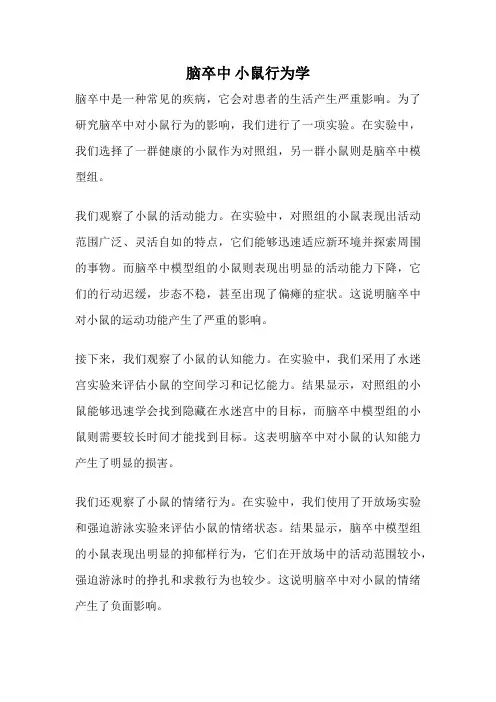 脑卒中 小鼠行为学