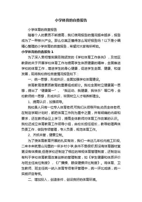 小学体育的自查报告