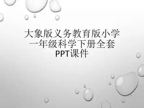 大象版义务教育版小学一年级科学下册全套PPT课件