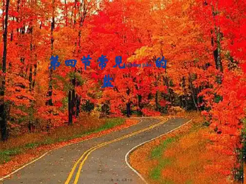 九年级科学上册 1.4常见的盐(第1、2课时)课件 华师大